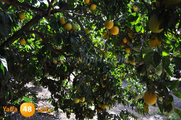 bayara visiting (3).JPG